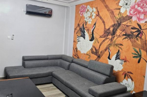 luxueux appartement